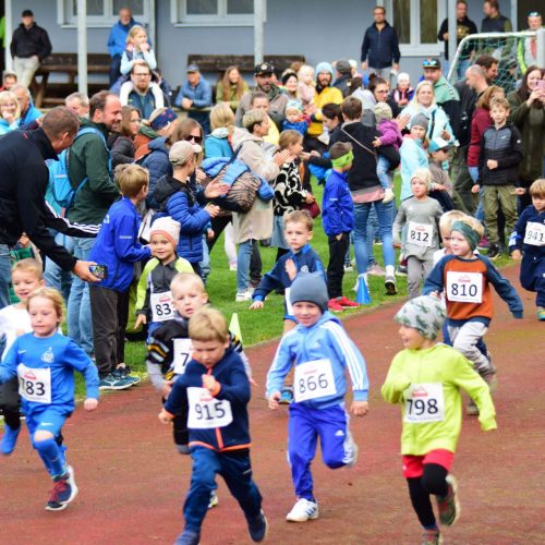 SVI Kinderwaldlauf 2024 1