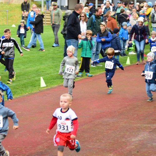 SVI Kinderwaldlauf 2024 2
