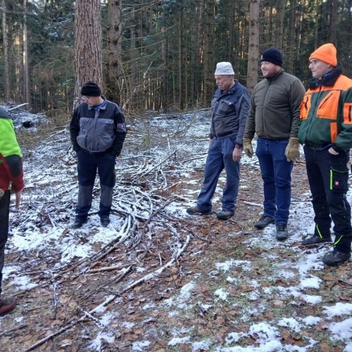 Gemeinderat Waldbegehung 2025 3