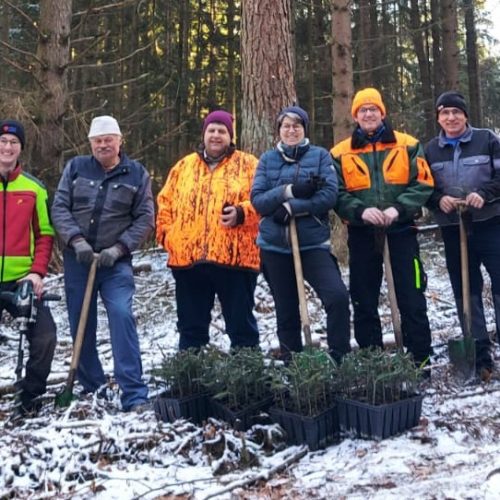 Gemeinderat Waldbegehung 2025 4